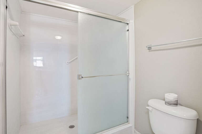 Master Step in Shower Master Step in Shower