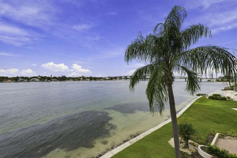Beautiful bay views surrounded by tropical palms right outside the condo.jpg