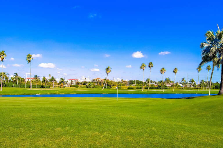 Golf Course 2 Golf Course 2