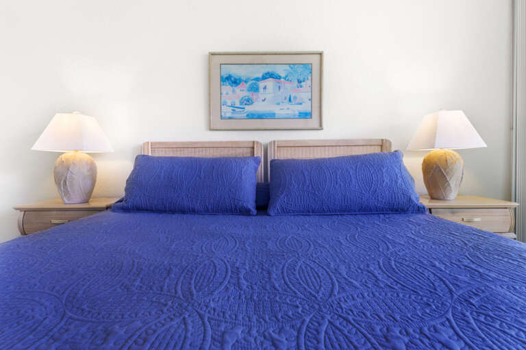 24-web-or-mls-6061 Bahia Del Mar #245-27.jpg 24-web-or-mls-6061 Bahia Del Mar #245-27.jpg