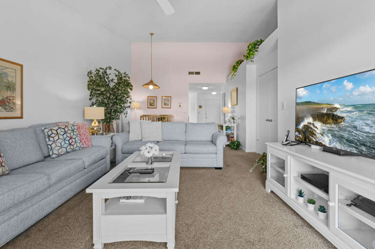 5-web-or-mls-6161 Bahia Del Mar Blvd #231-6.jpg