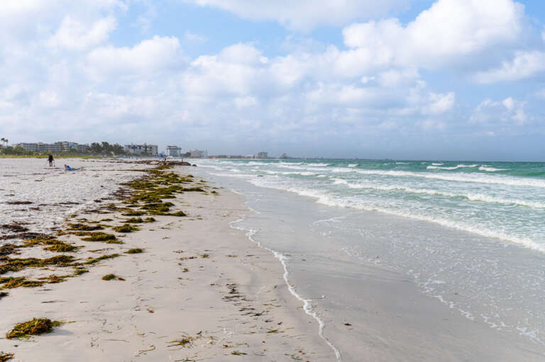 28-web-or-mls-6800 Sunset Way #1503--6.jpg