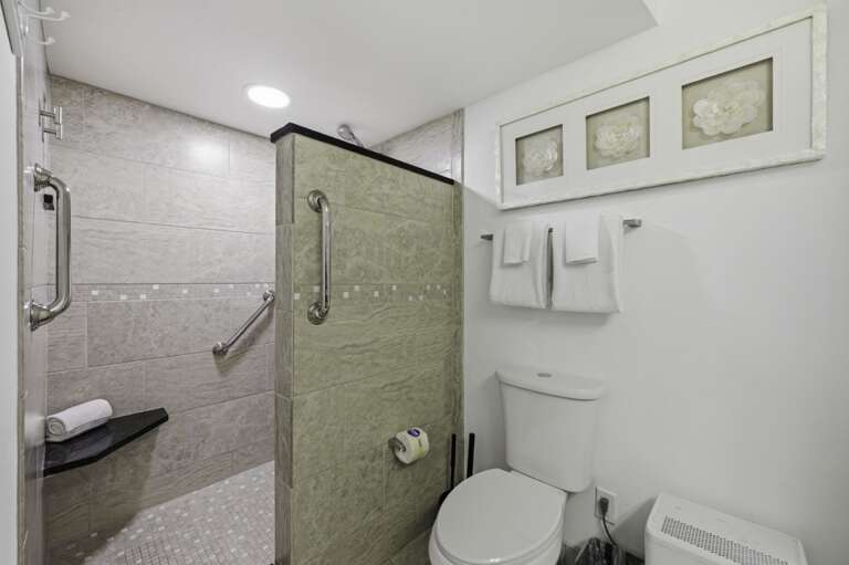 29-web-or-mls-6083 Bahia Del Mar Cir #358-33.jpg