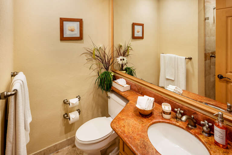 3rd full bath with walk in shower, off the living area!