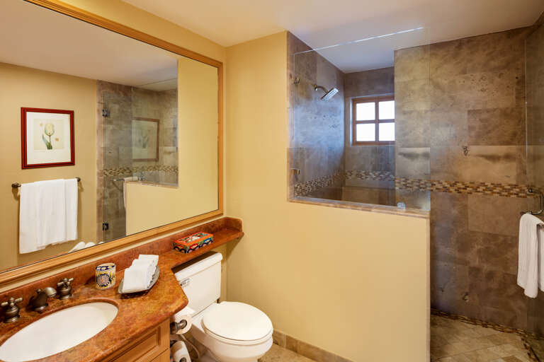 Newly renovated Guest Bath with walk-in shower!