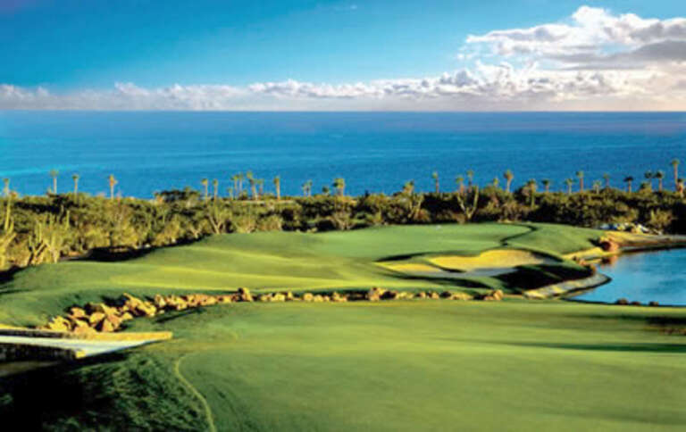 Cabo Del Sol is one of many golf courses throughout Cabo