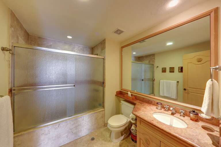 Guest Suite attached bath with shower and tub Guest Suite attached bath with shower and tub