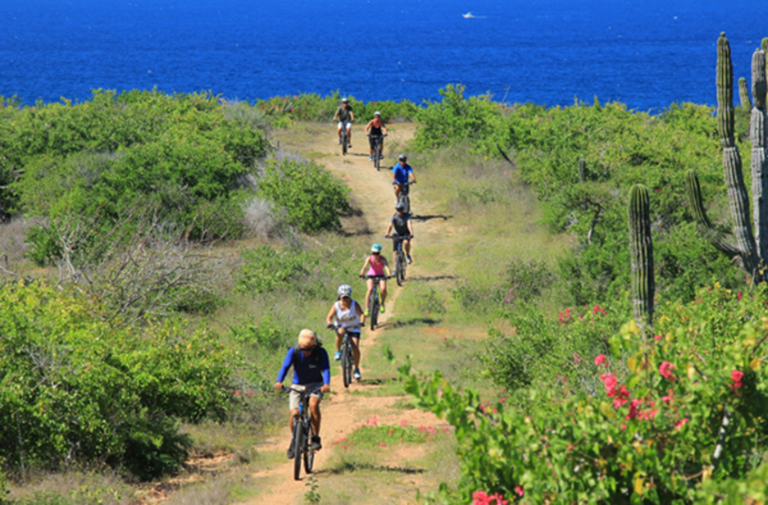 Biking is a great exercise with amazing views!