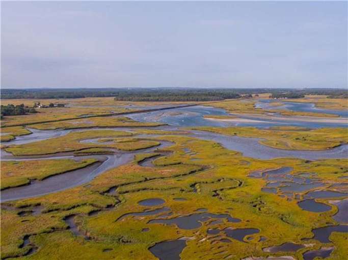 Pine Point Marsh  Pine Point Marsh