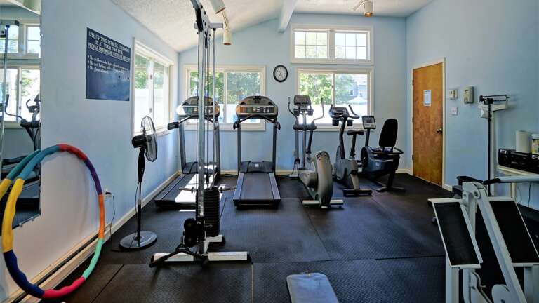 Sunlit Space Stocked With Gym Equipment, Serene Setting