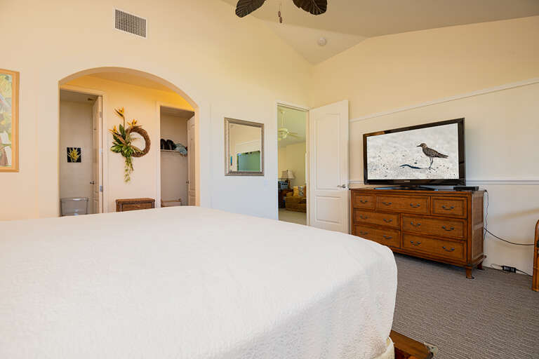 Master Bedroom and TV