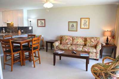 Naturally lit living and dining areas with plenty of seating