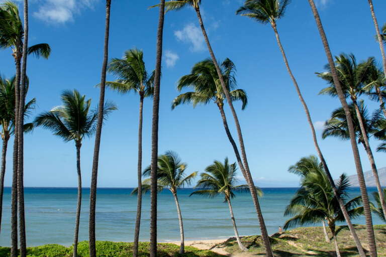 Ocean view from your lanai with the beach just steps away Ocean view from your lanai with the beach just steps away