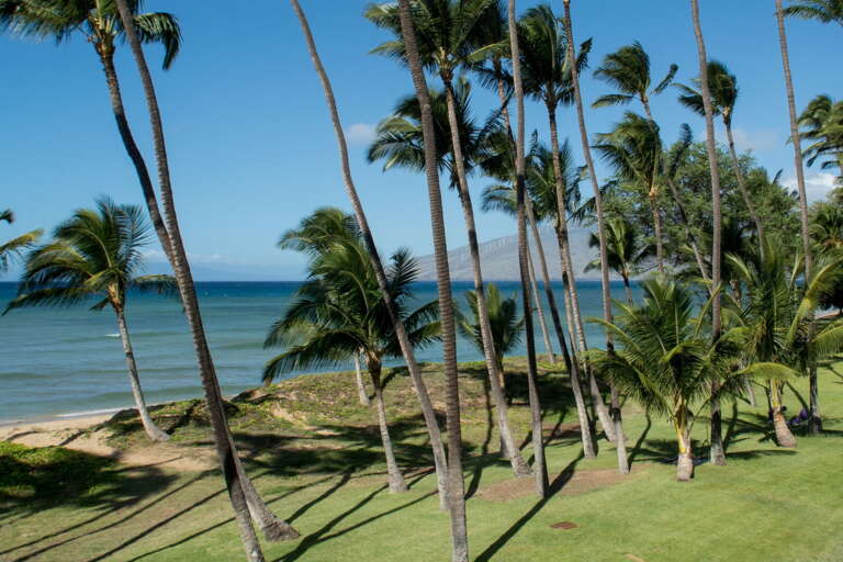 Views of the ocean and West Maui mountains Views of the ocean and West Maui mountains