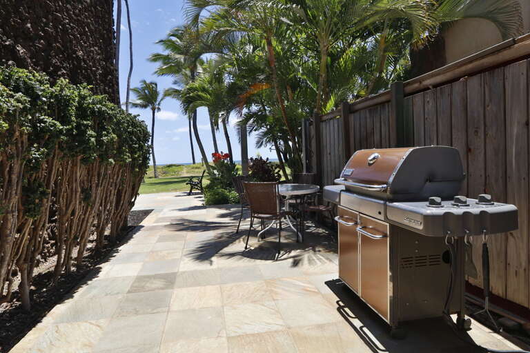 Two BBQ grills available in common areas on property