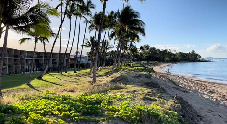The beach in front of the condo is typically quiet and relaxing.