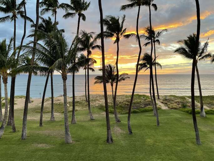 A dramatic sunset every night.