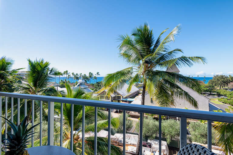 View from private lanai