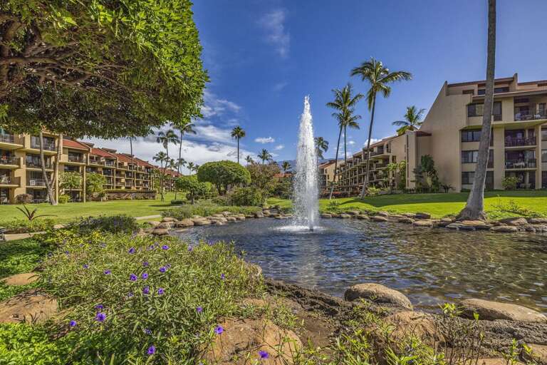 Find Rentals Find Rentals