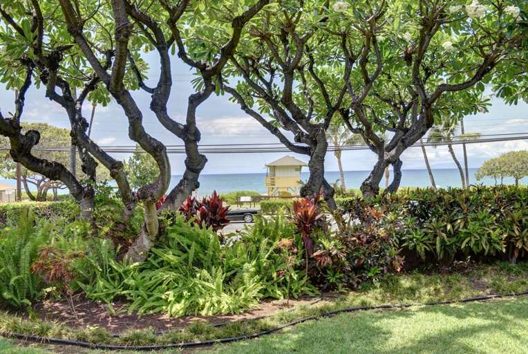 Beautiful view from your lanai Beautiful view from your lanai