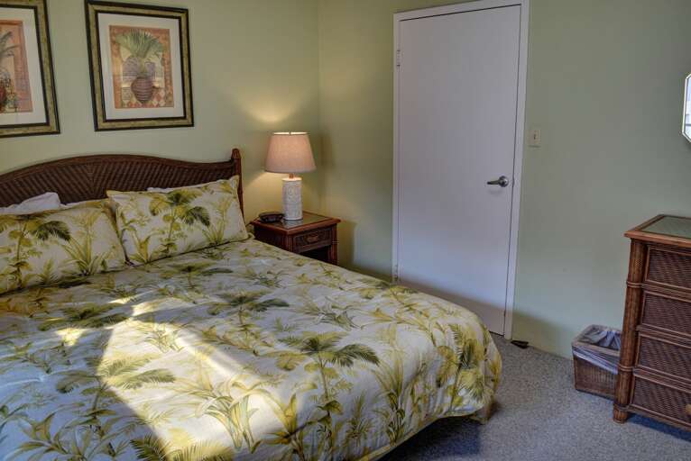 Downstairs bedroom