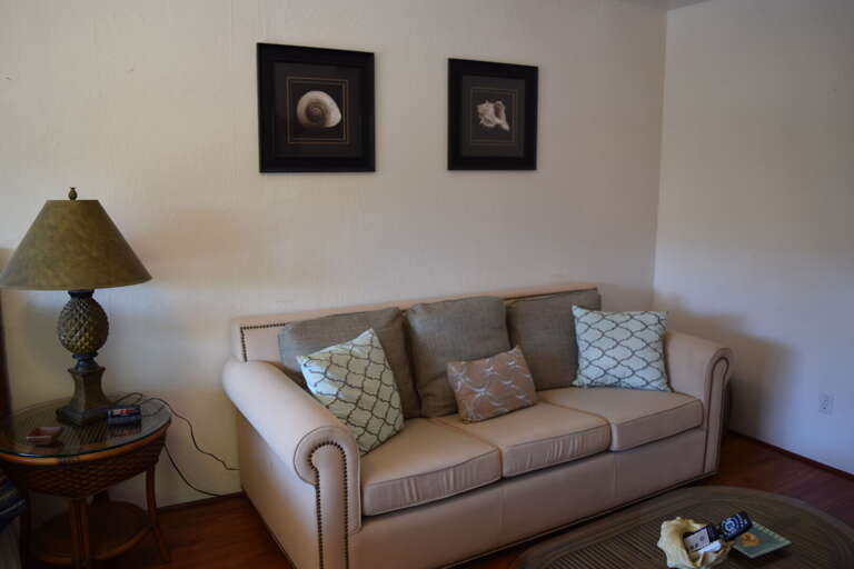 Comfortable living area