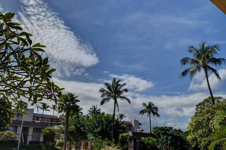 View from your lanai View from your lanai