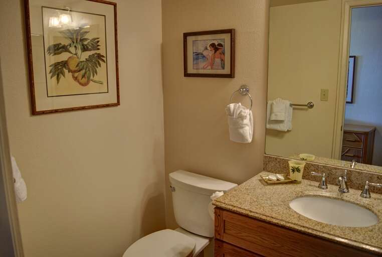 Extra 1/2 bathroom in hallway