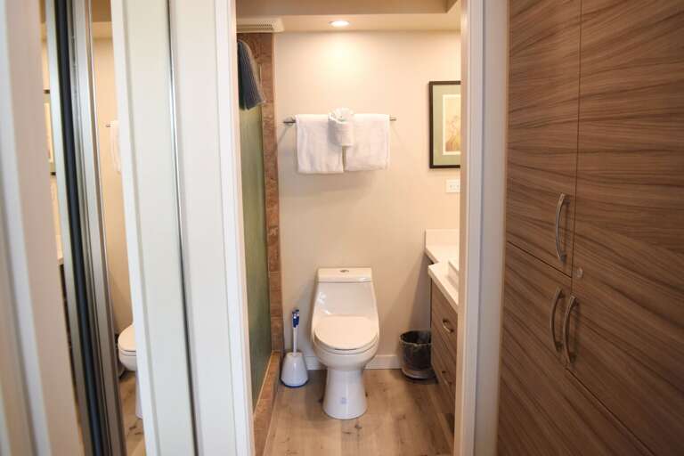 Bathroom with closet storage