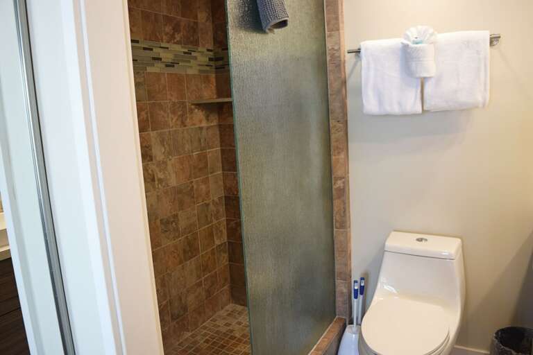 Walk-in tiled shower