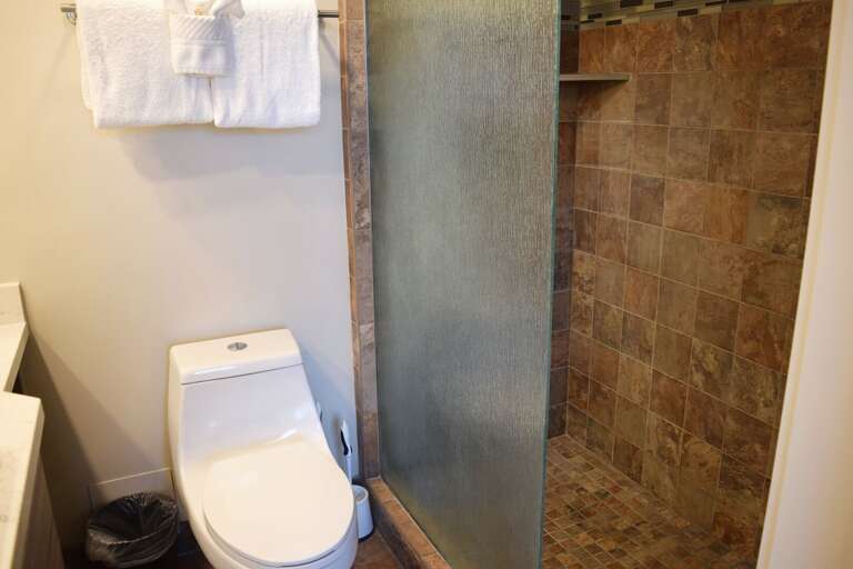Bathroom with walk-in tiled shower