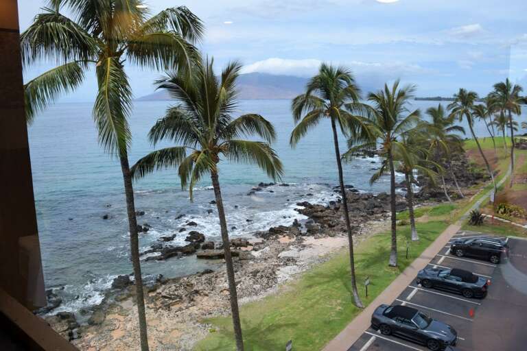 Window view from guest bedroom
