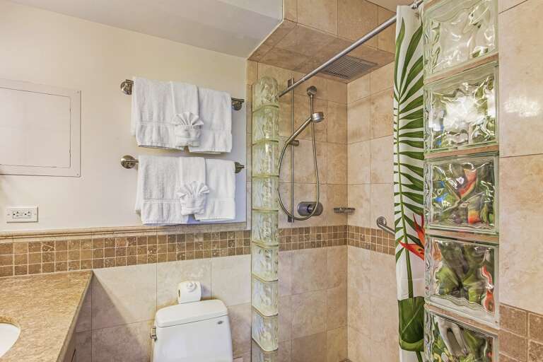 Master bathroom shower