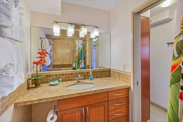 Updated master bathroom