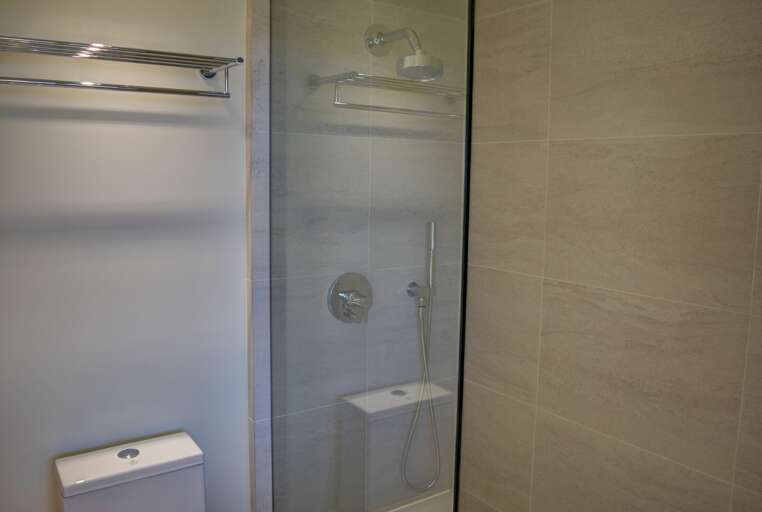 Guest bathroom shower