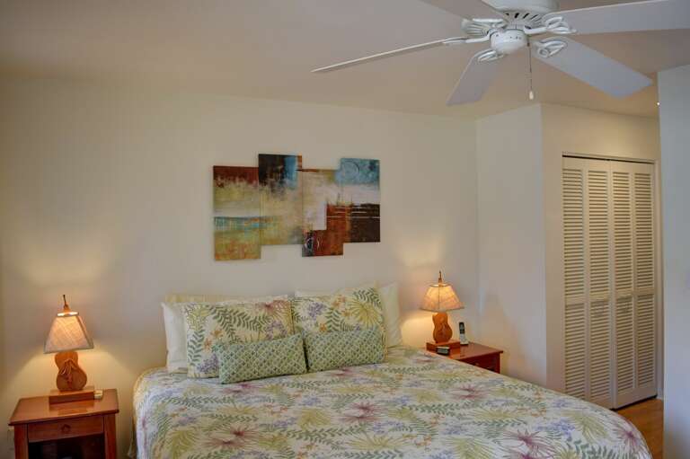 Master bedroom with plenty of storage