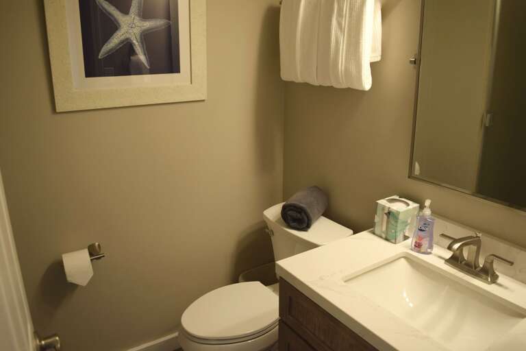 Hall/guest bathroom includes shower stall