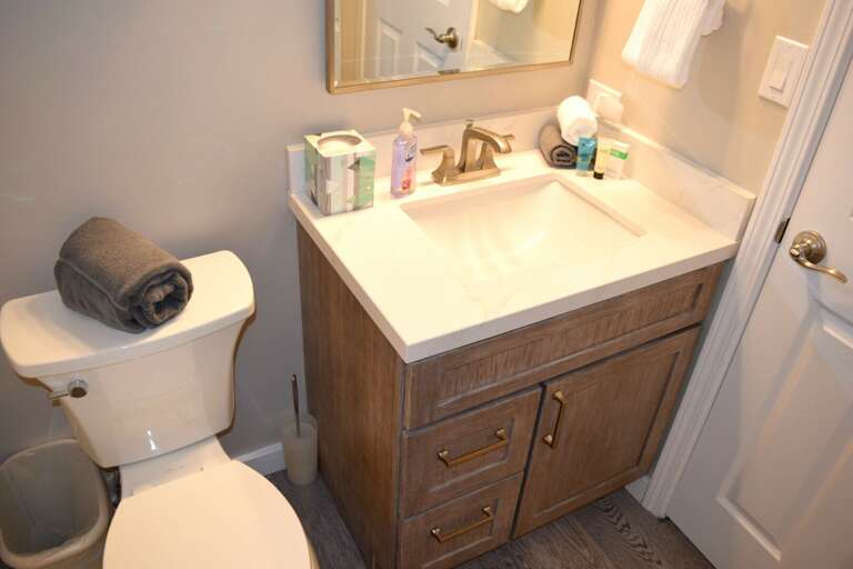 Hall/guest full bathroom