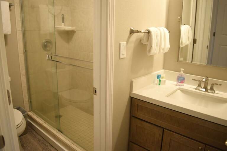 Master bathroom vanity separates from shower/toilet