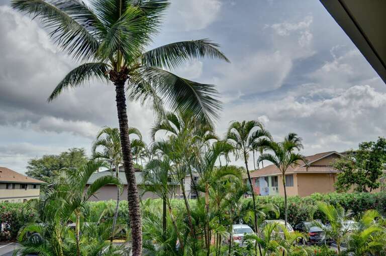 Enjoy the tropics when you sit on your lanai