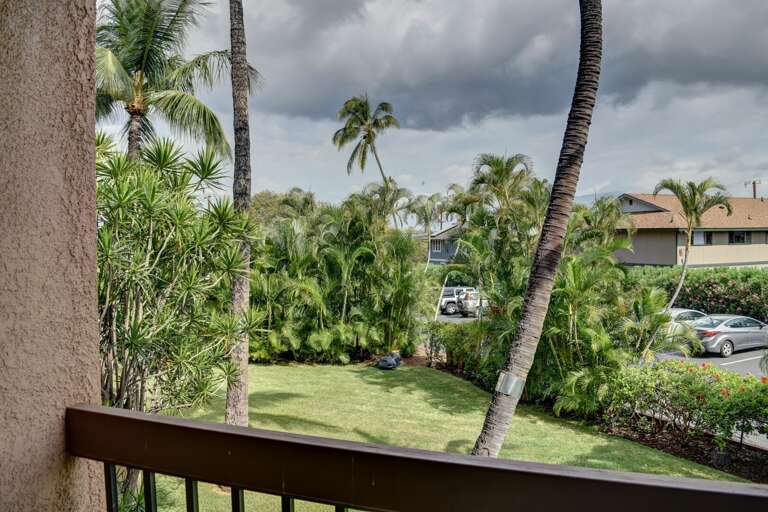 View from your lanai