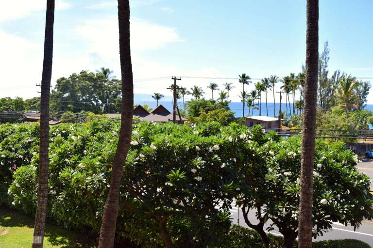 Beautiful landscaping at Maui Vista and ocean view Beautiful landscaping at Maui Vista and ocean view