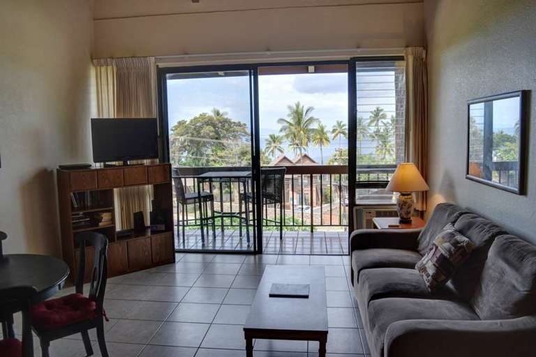 Great living room with tropical view