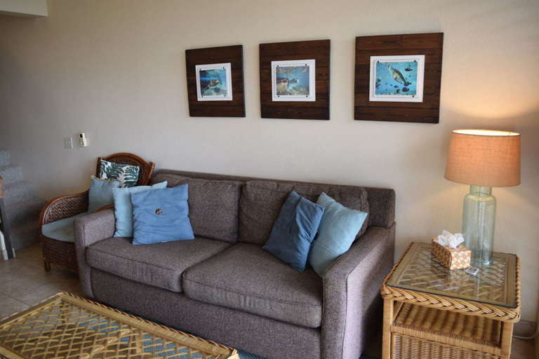 Comfortable sofa in living room with island decor