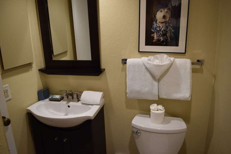 Full guest bathroom with shower