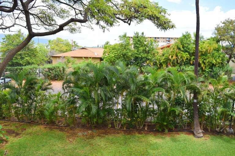Garden view from private lanai