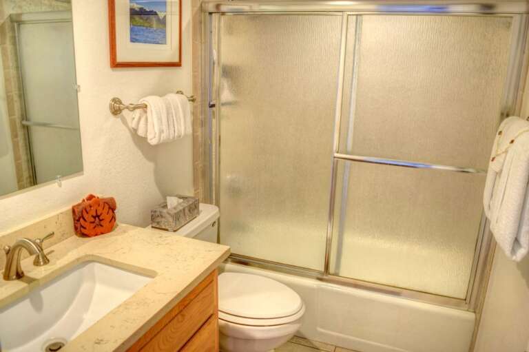 Downstairs master bathroom with full shower/tub Downstairs master bathroom with full shower/tub
