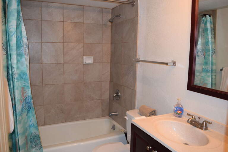 Shower/tub combination in bathroom