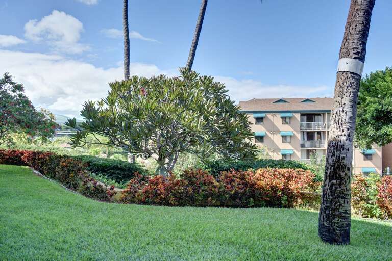 Tropical landscaped grounds