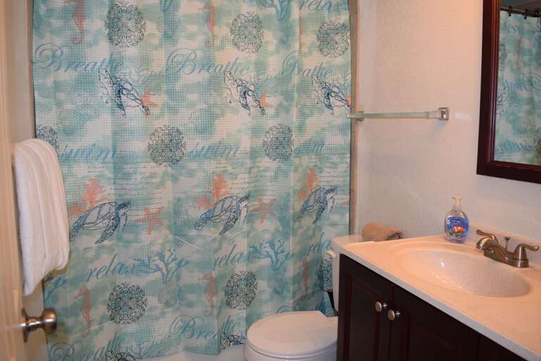 Updated bathroom with new tile shower and vanity